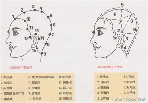 頭部七條基準線|學習剪髮之前 先認識頭部15個基準點 、7條線掌握剪髮架構 〔點。